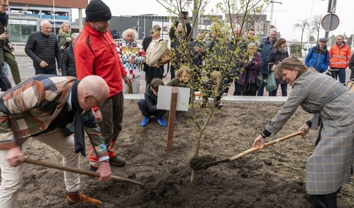 Jan Zwart (Ambassade van Vrede) en burgemeester Anja Schouten planten Vredesboom Hiroshima aan Kanaalkade.