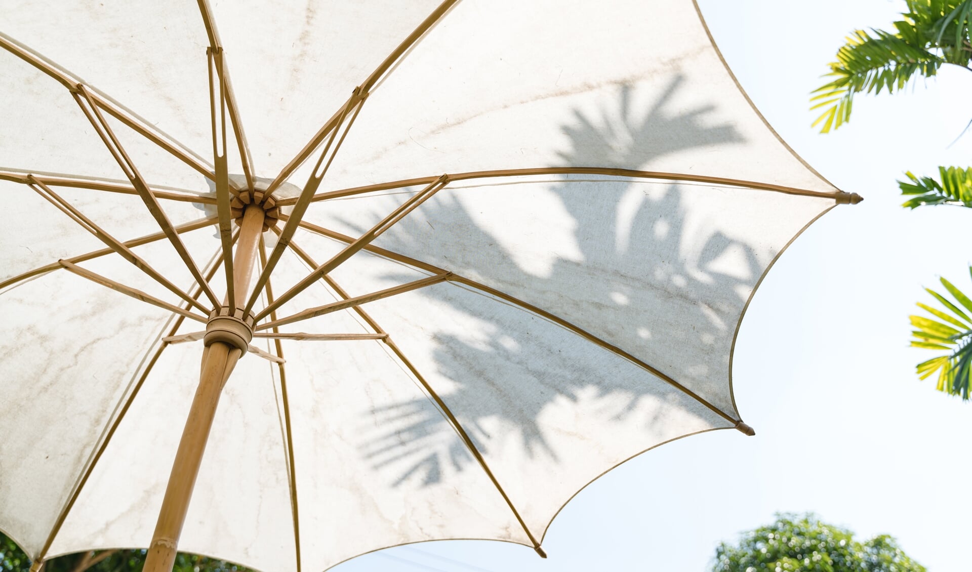 Welk type parasol past het beste bij jouw tuin?
