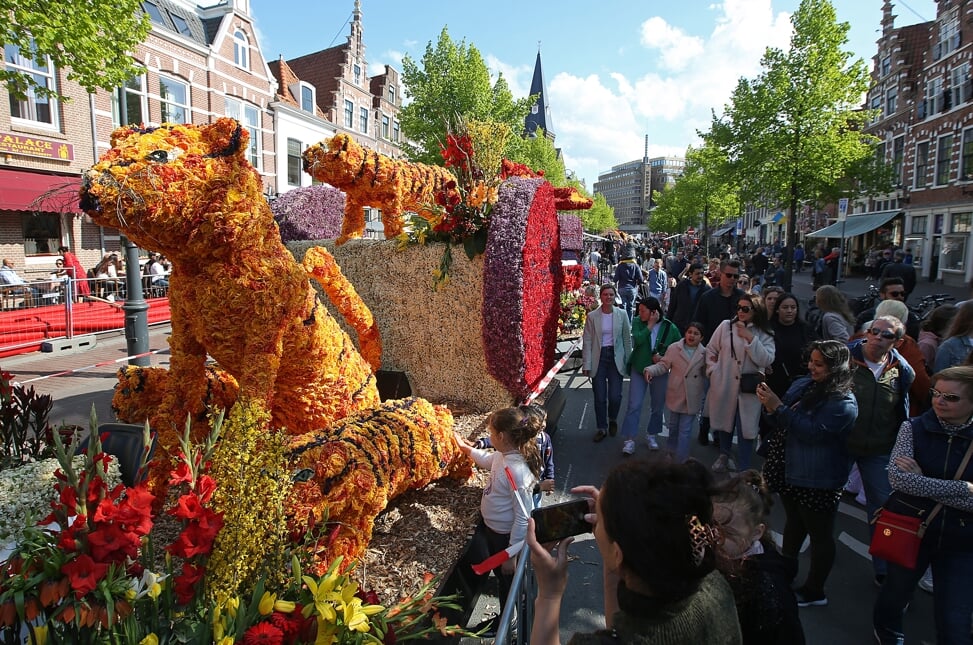 Het Bloemencorso trekt altijd veel bijkijks in Haarlem!