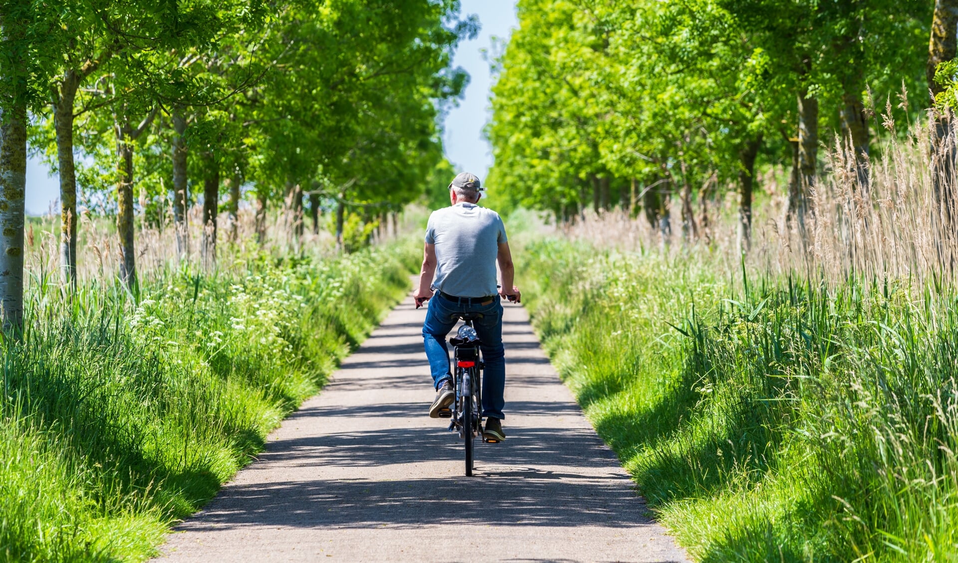 Het doel van het programma 'Doortrappen' is ouderen veiliger en zekerder te laten fietsen.