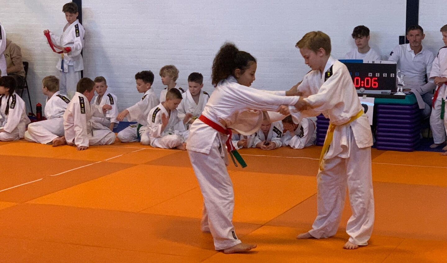 Afgelopen zondag werden in de Dojo van Mahorokan in Maassluis het beginnerstoernooi voor de jongste jeugd weer gehouden.
