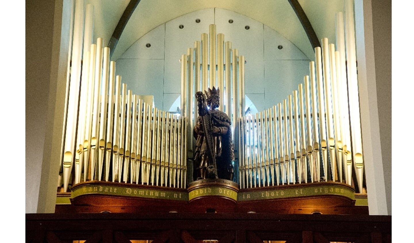 Het David-orgel van de Pancratiuskerk.