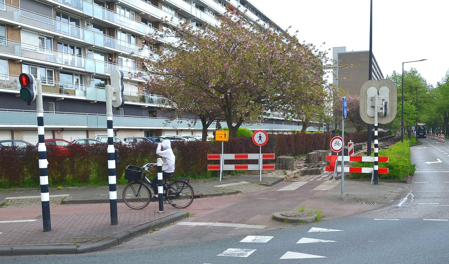 Opname van de situatie van de fietspaden aan de Holysingel.