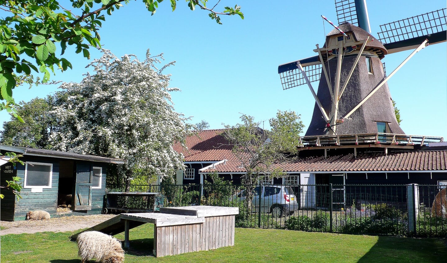 Kinderboerderij aan het Noordhollandskanaal prachtig herrezen.