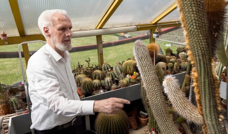 Fons Arens vertelt volop over zijn verzameling cactussen terwijl hij een rondleiding geeft in zijn kassen.
