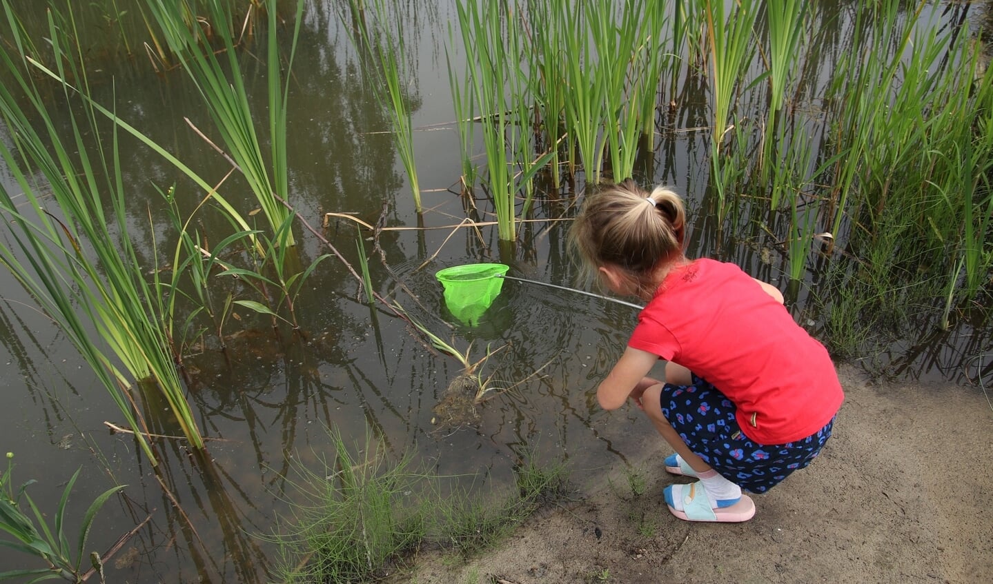 In het weekend van 10 tot en met 12 juni kunnen kinderen samen met hun (groot)ouders op avontuur langs de waterkant.