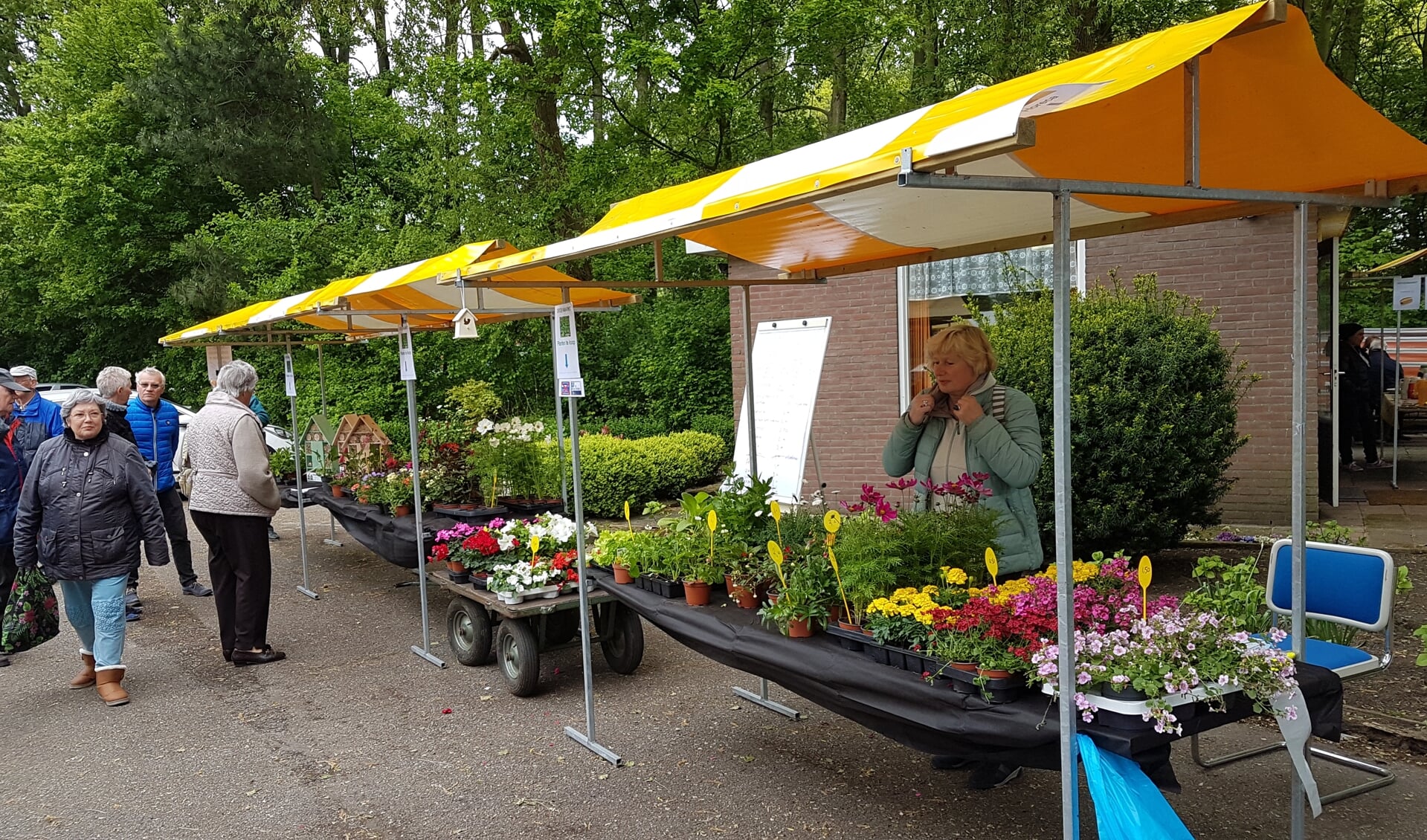 Er zijn leuke plantjes te koop op de groenmarkt bij De Schoffel.