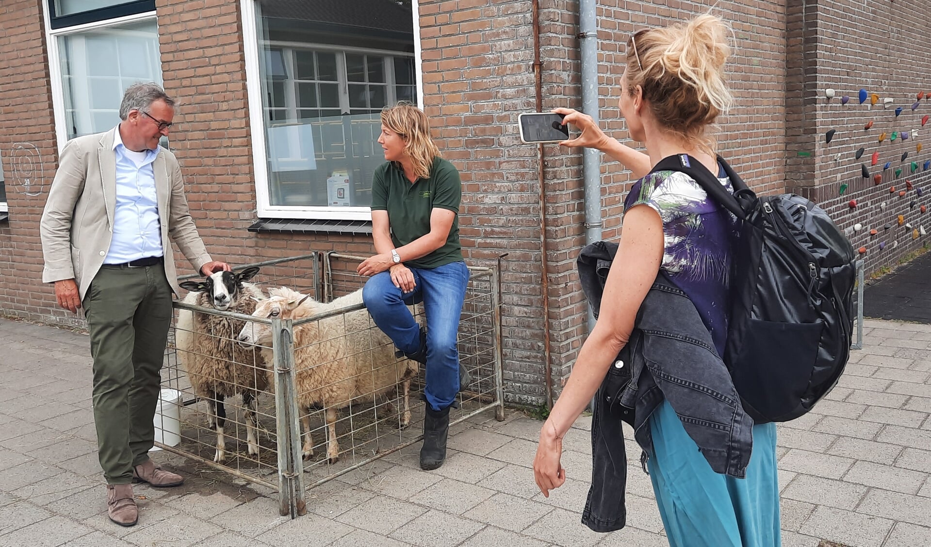 Twee schapen, wethouder Bekkering, Marijke Dirkson en Esther Keijser op het schoolplein.