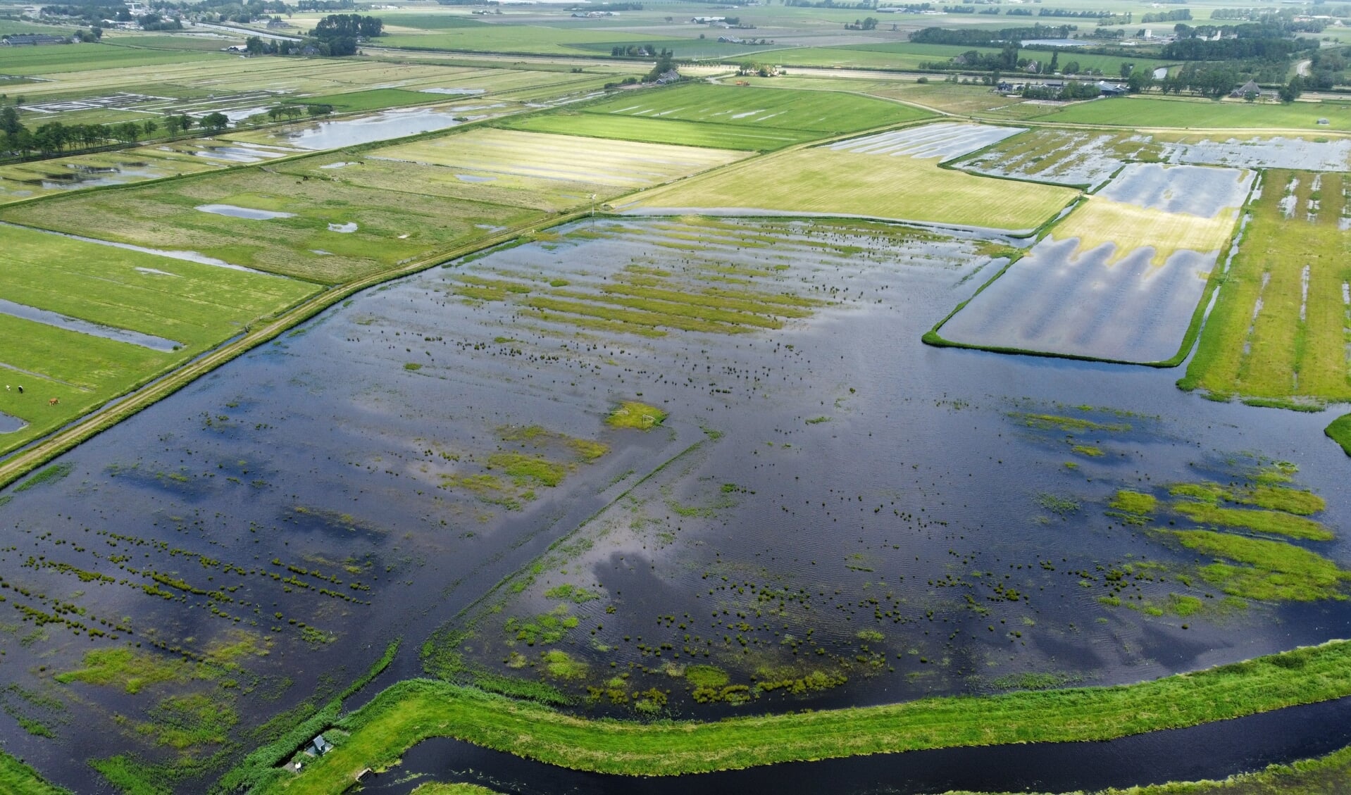 Tijdens de wateroverlast van juni vond veel overtollig water zijn weg naar waterberging Over 't Hek bij Bergen.