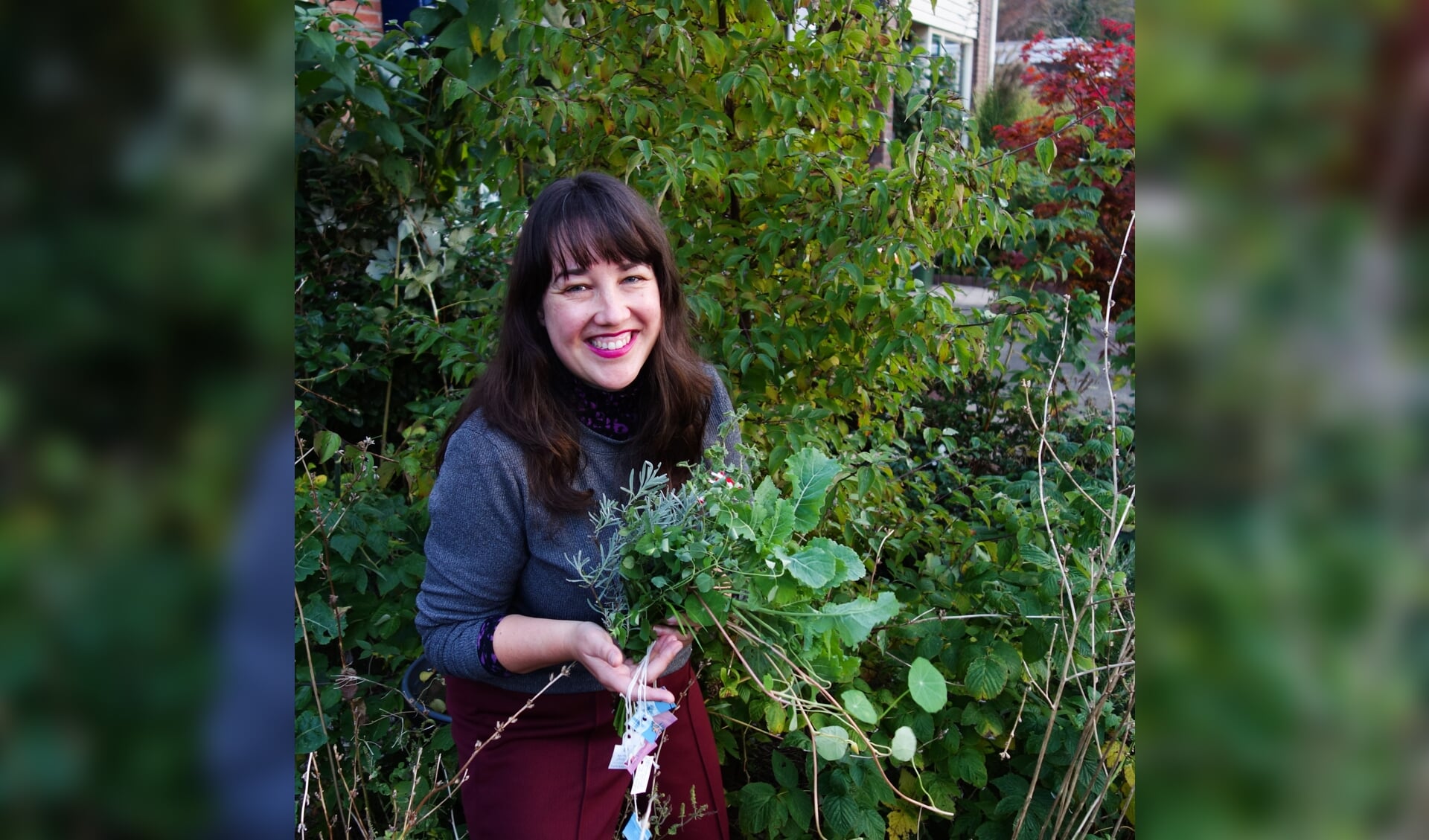 Milieudeskundige en tuinontwerper Iris Veltman geeft een lezing over de klimaatbestendige tuin.