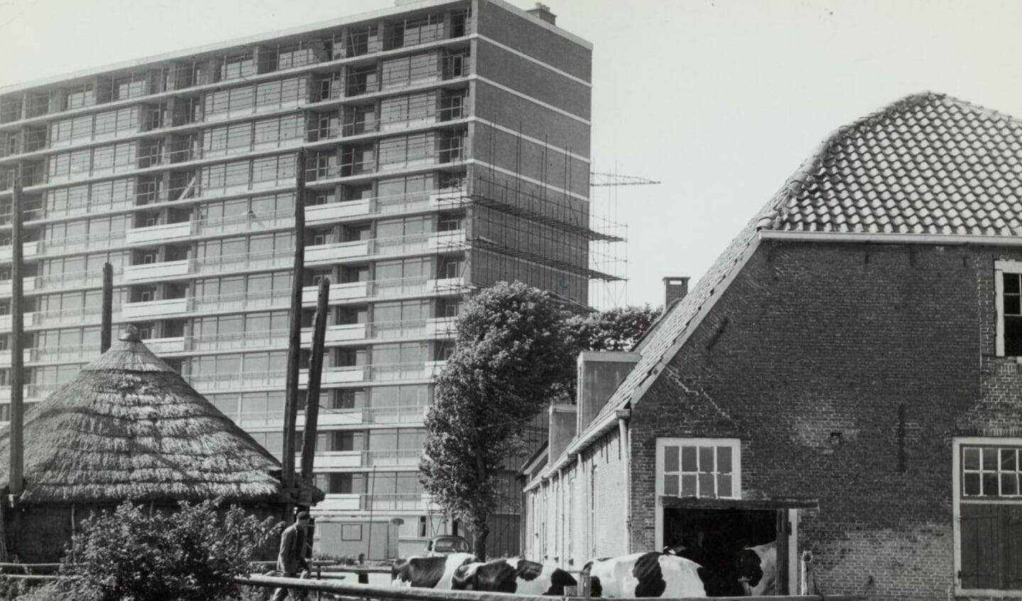 In de jaren '50 en '60 moesten eeuwenoude boerenbedrijven in Rijswijk plaatsmaken voor nieuwbouw. Op deze foto staat een boerderij in groot contrast met de flat erachter.