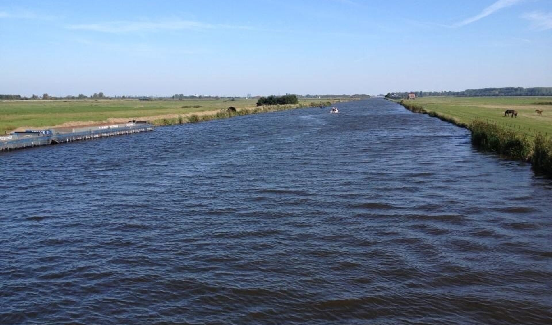 GroenLinks pleit voor de verbetering van de waterkwaliteit in en rondom Vlaardingen. 