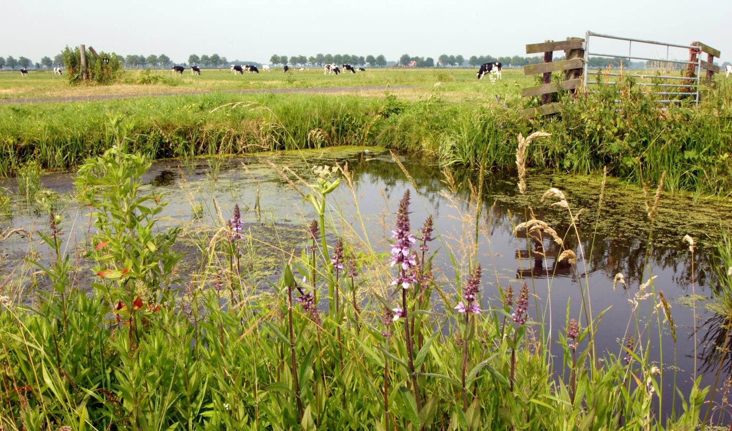 Het doel van de samenwerking is het agrarische bedrijf en het watersysteem in Noord-Holland gezonder en veerkrachtiger te maken wat betreft waterkwaliteit, voldoende zoetwater en bodemkwaliteit. 