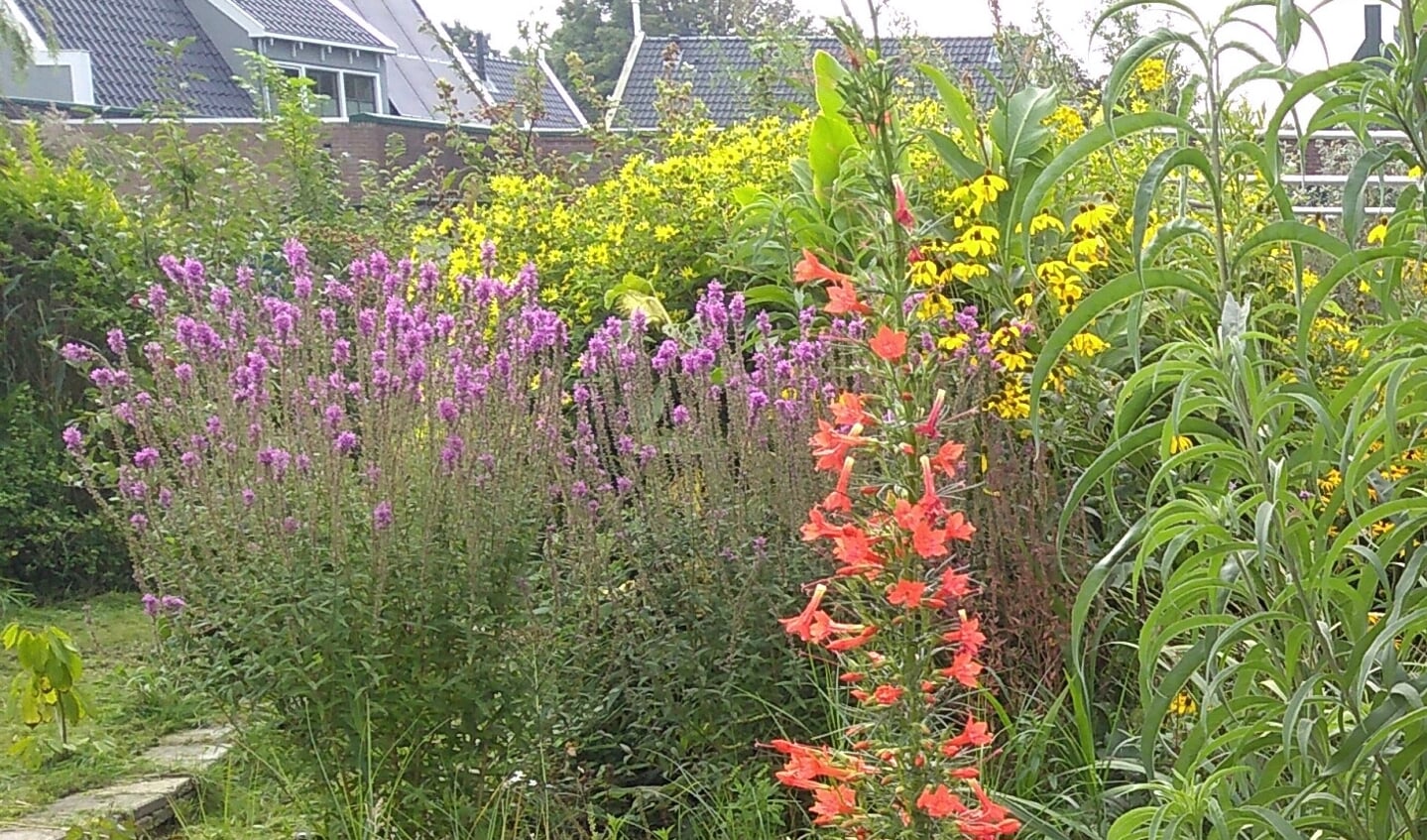 Wat biedt deze tuin?