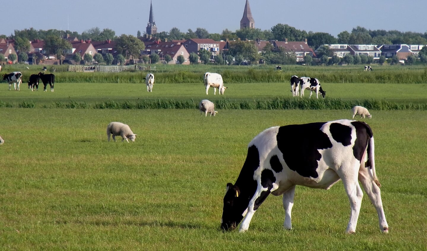 Gedeputeerde Rommel benadrukt dat ze de boeren in Noord-Holland niet weg wil hebben.