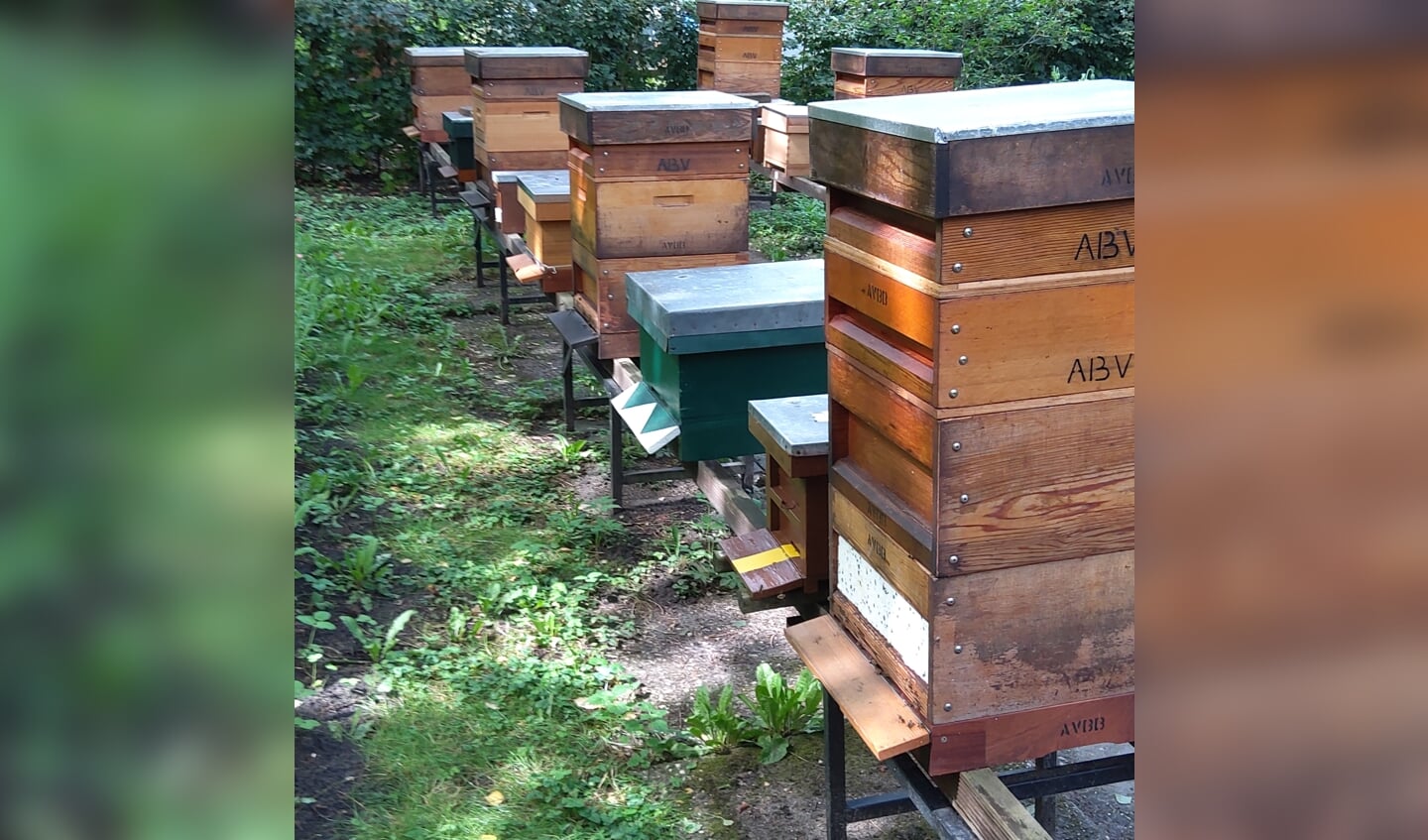 Imkers staan klaar om van alles over het volkstuinpark en bijen te vertellen 