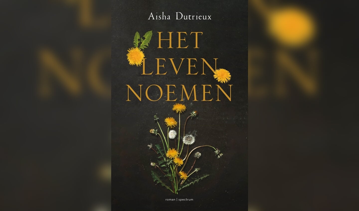 Aisha Dutrieux is een van de schrijvers die is genomineerd voor de Hebban debuutprijs.