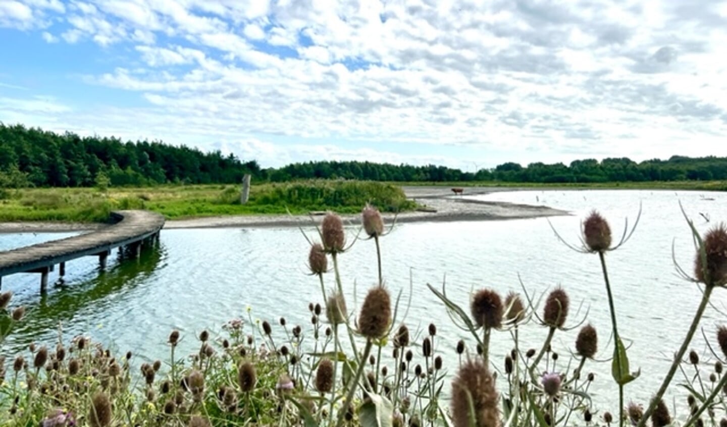 "Een opgedroogde waterplas. Het doet mij denken aan Afrika."(Foto: Magdalena van Zelm)