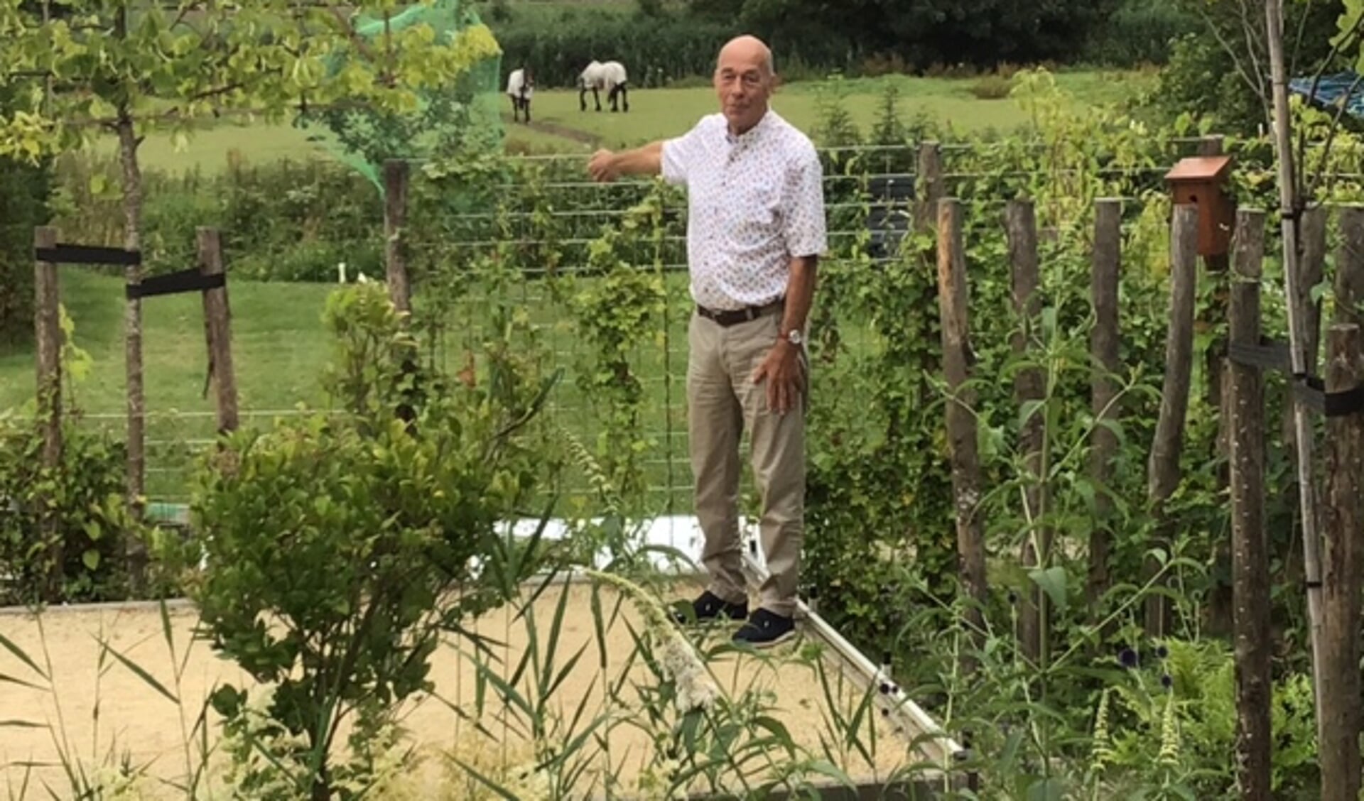 Ton Verdoes wil het aan de voorzijde van De Werf net zo groen hebben als in het plantsoen erachter. (Foto: Cor de Vette)