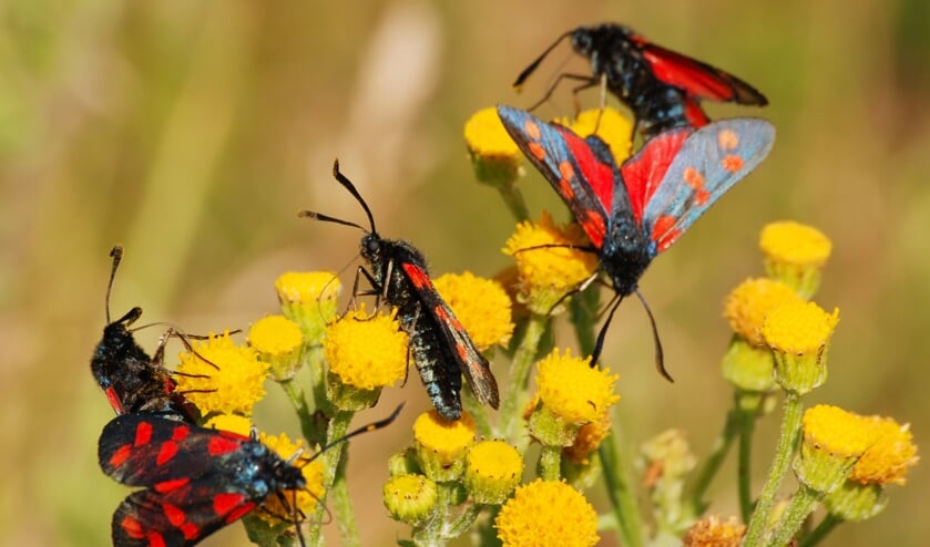 Laat je verrassen door de uitgestrekte en gevarieerde natuur.