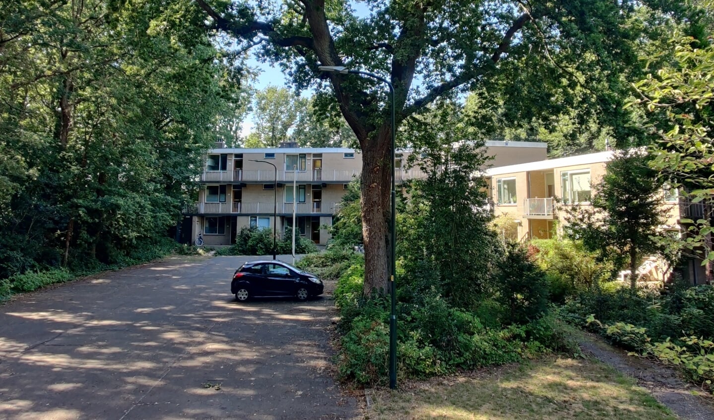 De solitaire boom in het midden blijft waarschijnlijk behouden.
