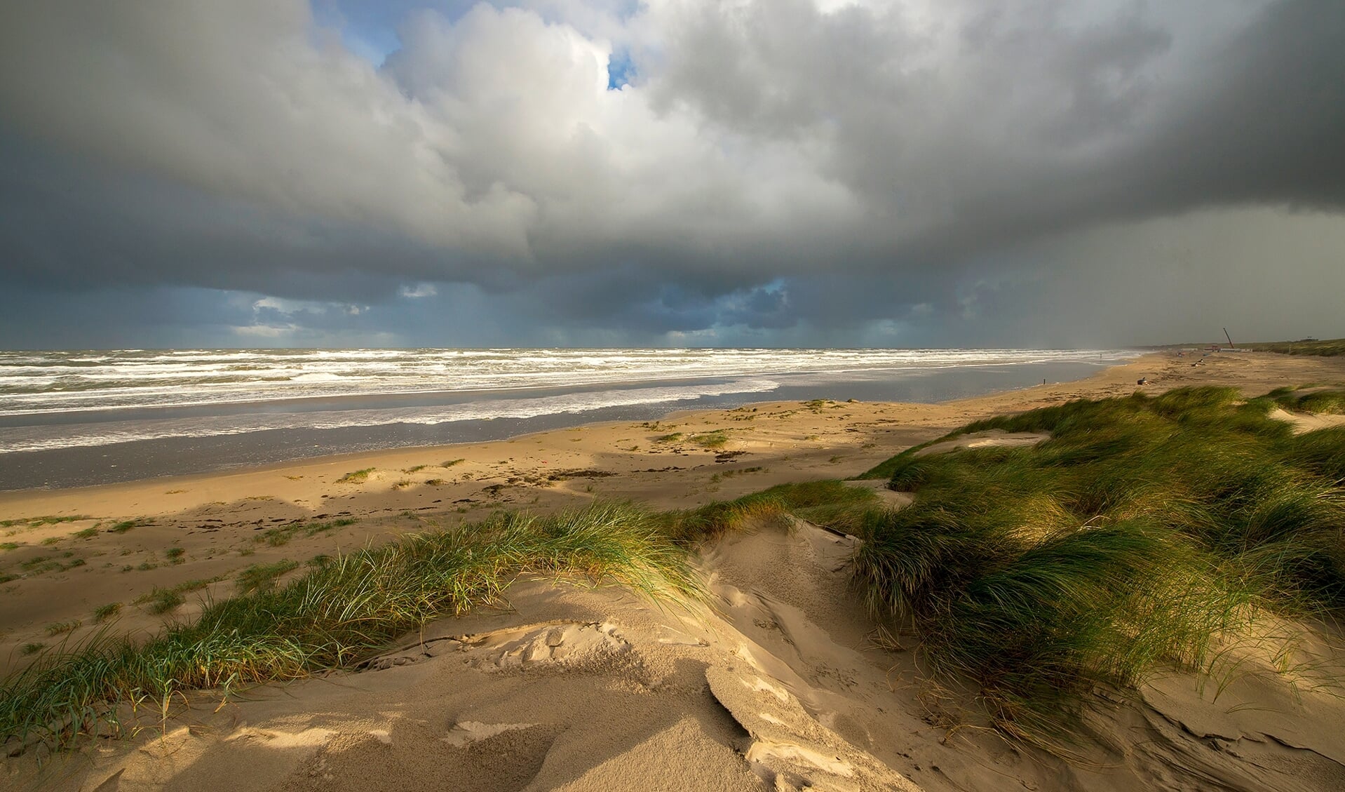 Tijdens de Dag van de Duinen, zaterdag 17 september, vraagt Duinbehoud extra aandacht voor de kwetsbaarheid van de duinen.