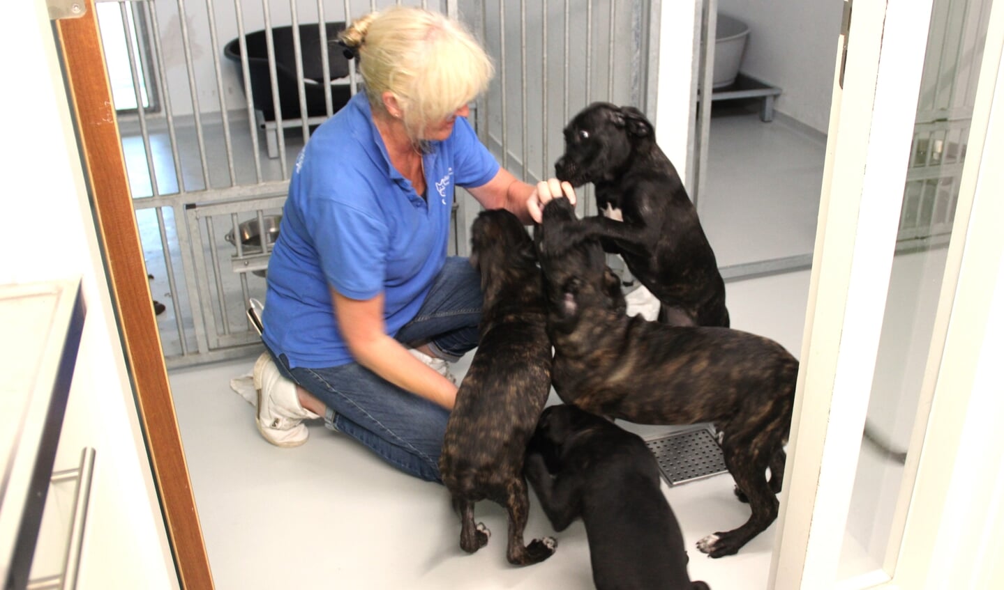 Balou, Zazou, Rubyen en Yuki hebben verzorger Marjo al in hun hart gesloten.