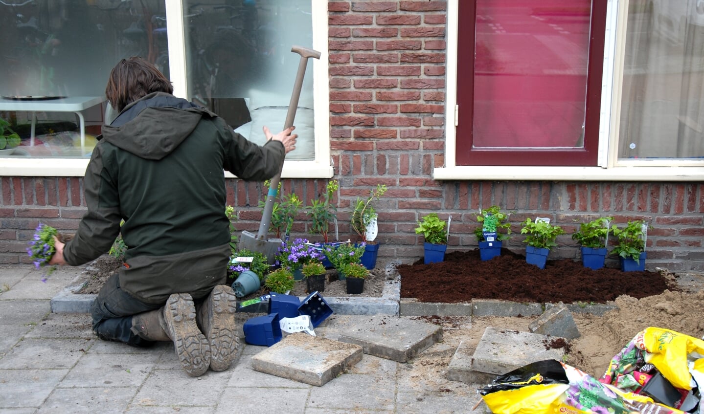 Tegel eruit, planten erin. Een kind kan nog een geveltuintje maken.