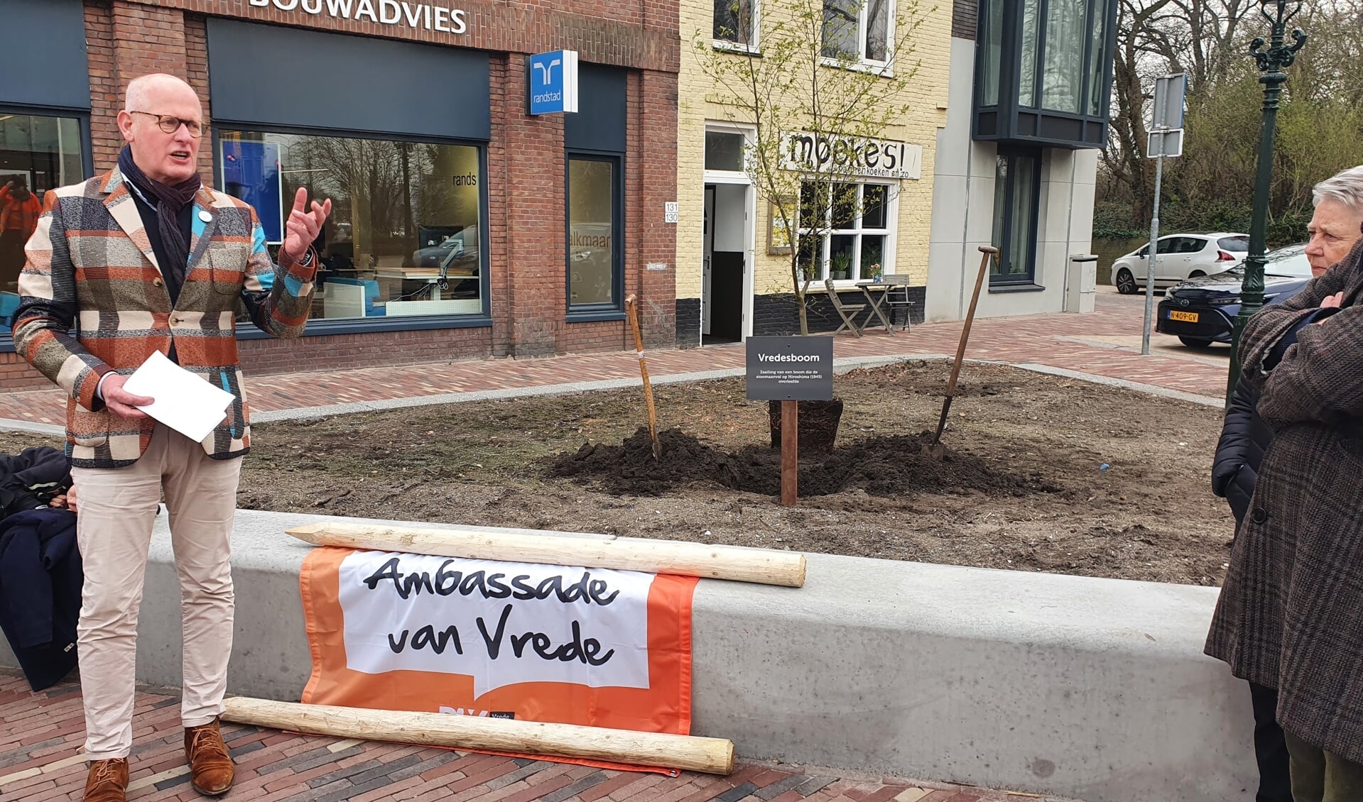 De onlangs geplante Vredesboom in Alkmaar. 
