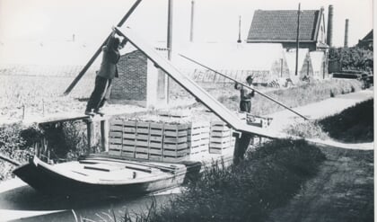 Afbeelding