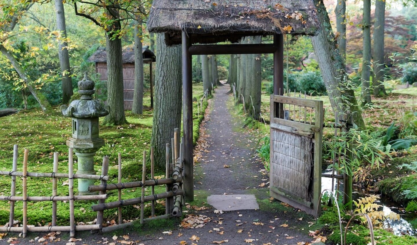 De Japanse tuin is open van 15 tot en met zondag 30 oktober.