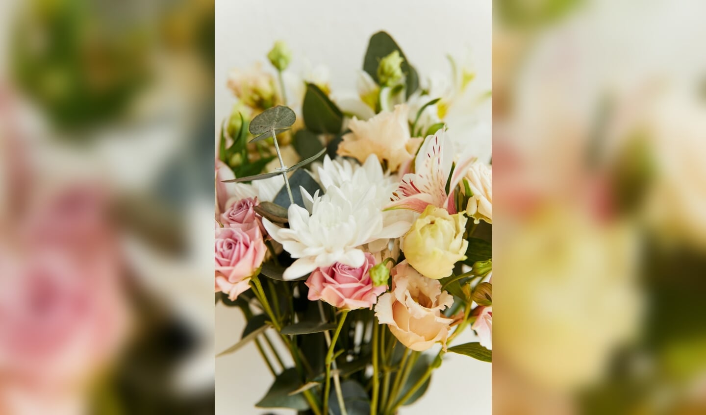 De ANBO deelt bloemetjes uit op de dag van de Ouderen.