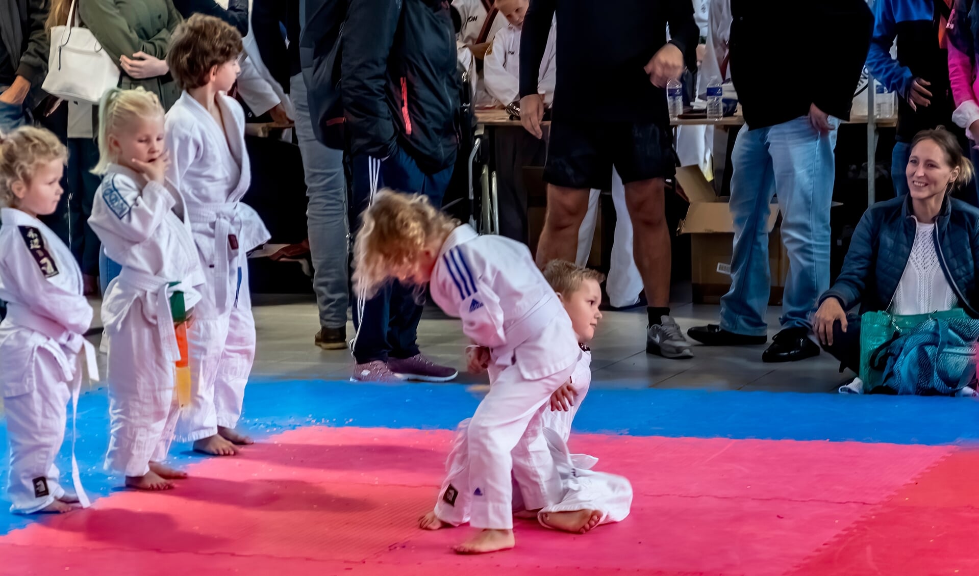 Er werden zaterdag tal van demonstraties gehouden waaronder van deze jonge judoka's.