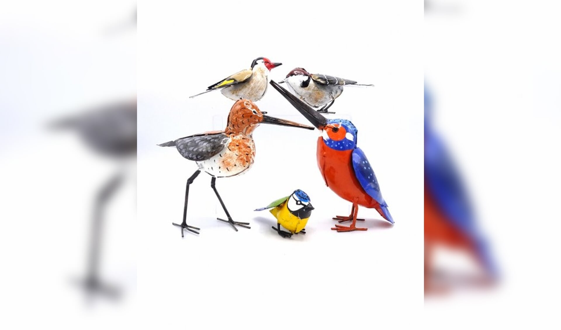 Eerlijk en Werelds heeft een leuke collectie kleurrijke vogels te koop.