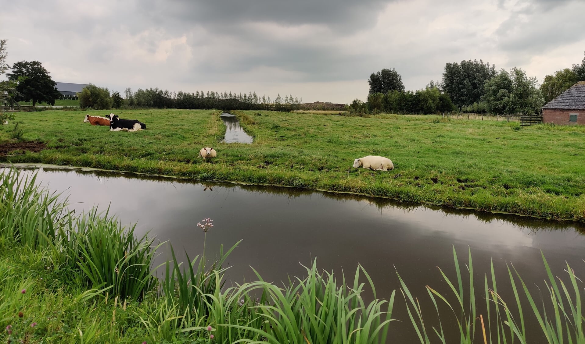 Als de uitzonderlijk grootschalige neerslag die in 2021 in Limburg viel in Zuid-Holland zou vallen, blijft er op veel plaatsen water staan, vooral in polders. 