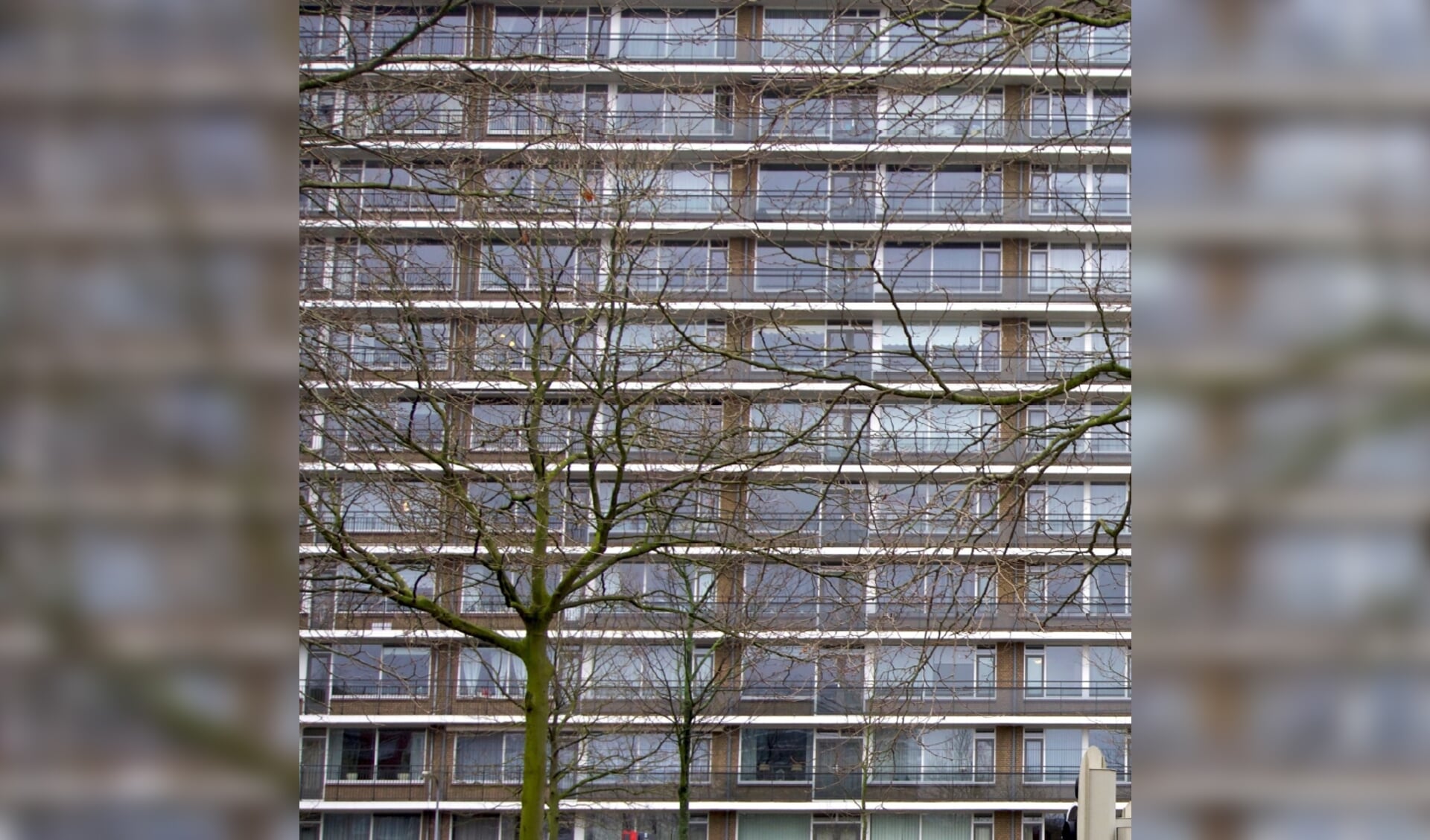 Een vergunning voor woningsplitsing en verkamering wordt verplicht in Rijswijk, maar daarvoor is ook goede handhaving nodig, stelt GroenLinks.