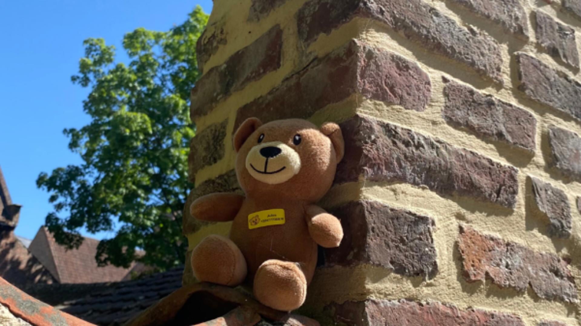 De verloren teddybeer werd in Alkmaar het vaakst teruggebracht bij de rechtmatige eigenaar.