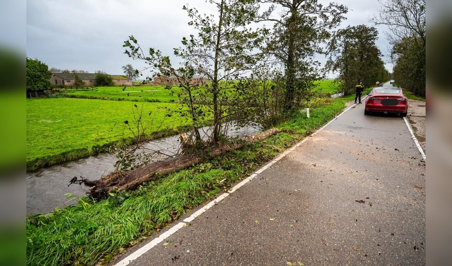 Korteraarseweg in Aarlanderveen