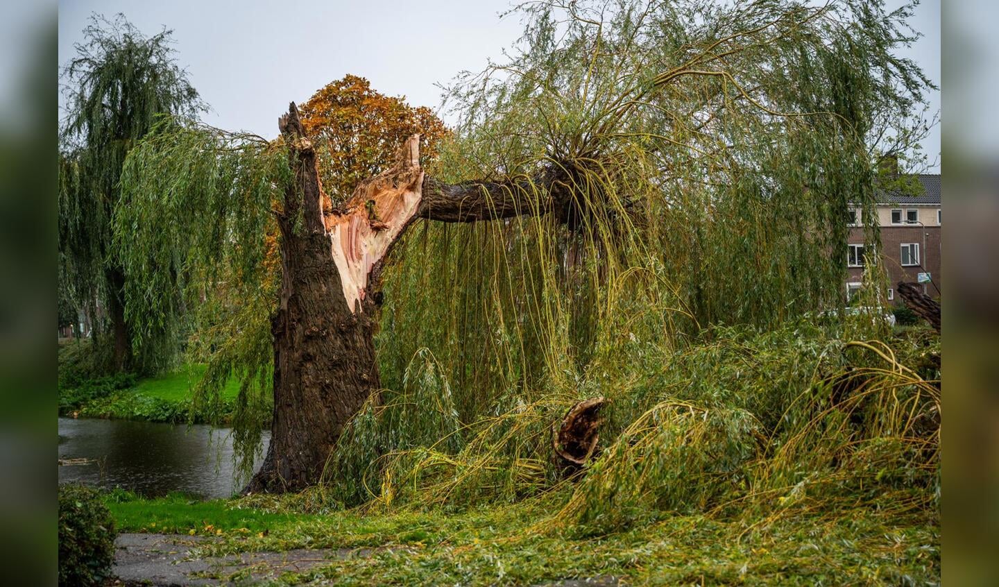 Prins Bernhardlaan in Alphen aan den Rijn.