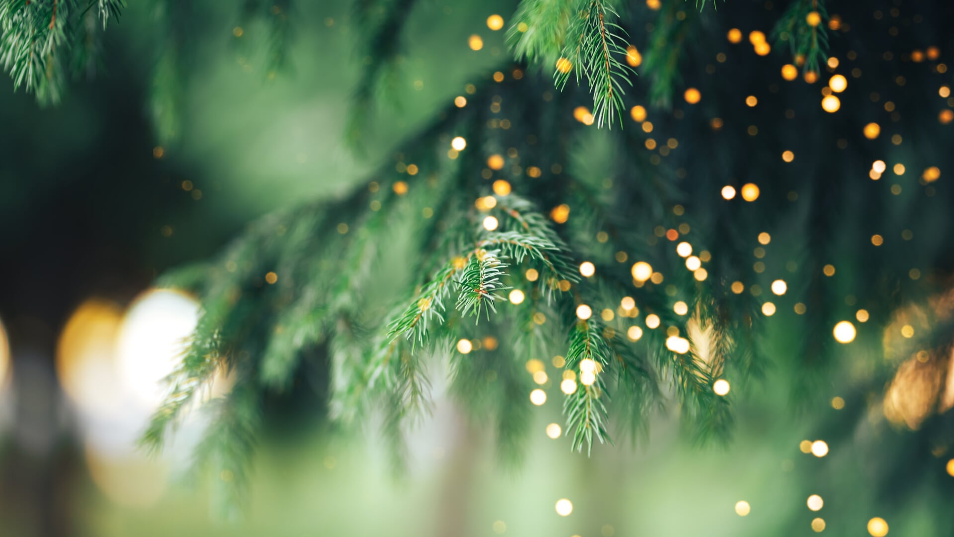 Als alternatief worden dit jaar de bomen op het Julianaplein en de watertoren in kerstsferen verlicht.