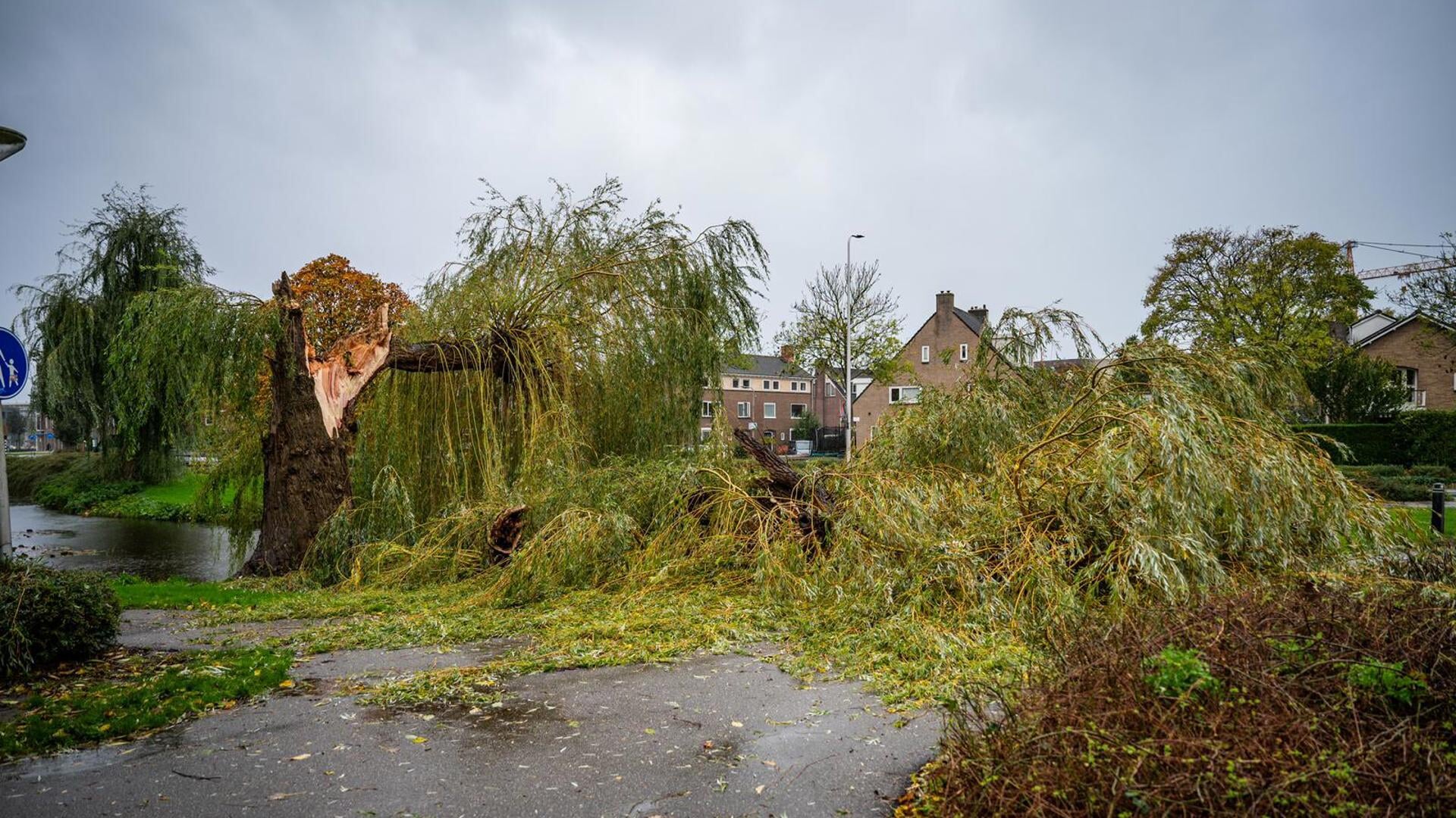Prins Bernhardlaan in Alphen aan den Rijn.