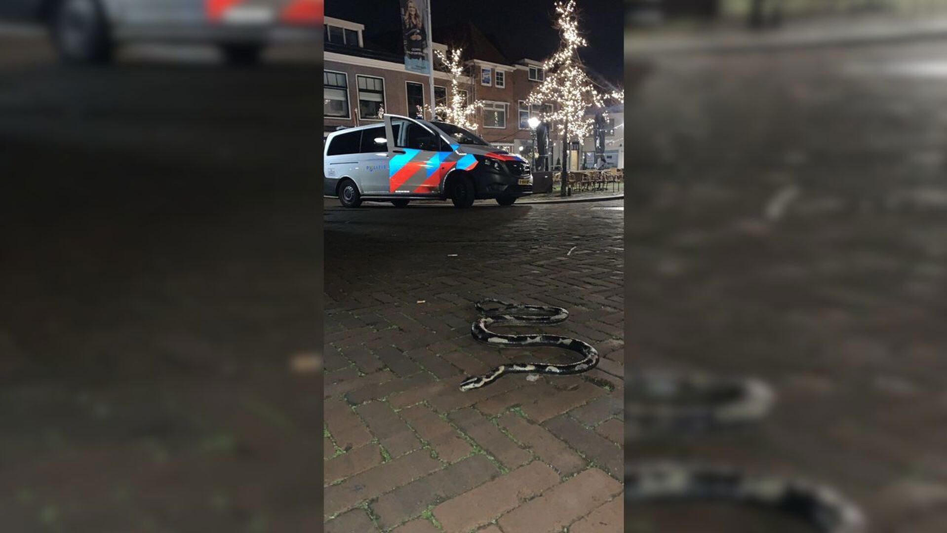 Politie rukt uit voor nepslang in centrum Maassluis