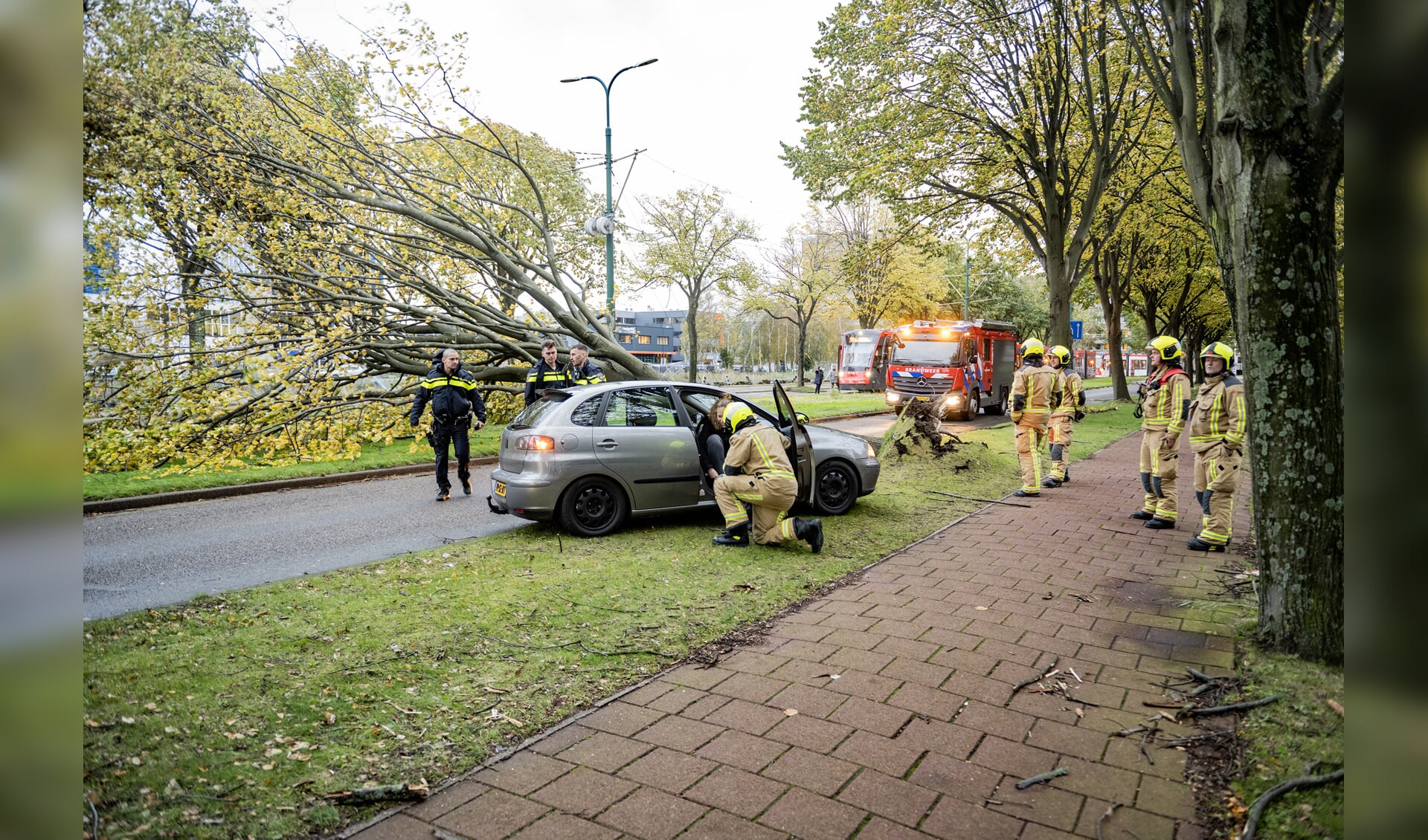 Stormschade In Rijswijk: Boom Valt Op Auto Langs Burgemeester Elsenlaan ...