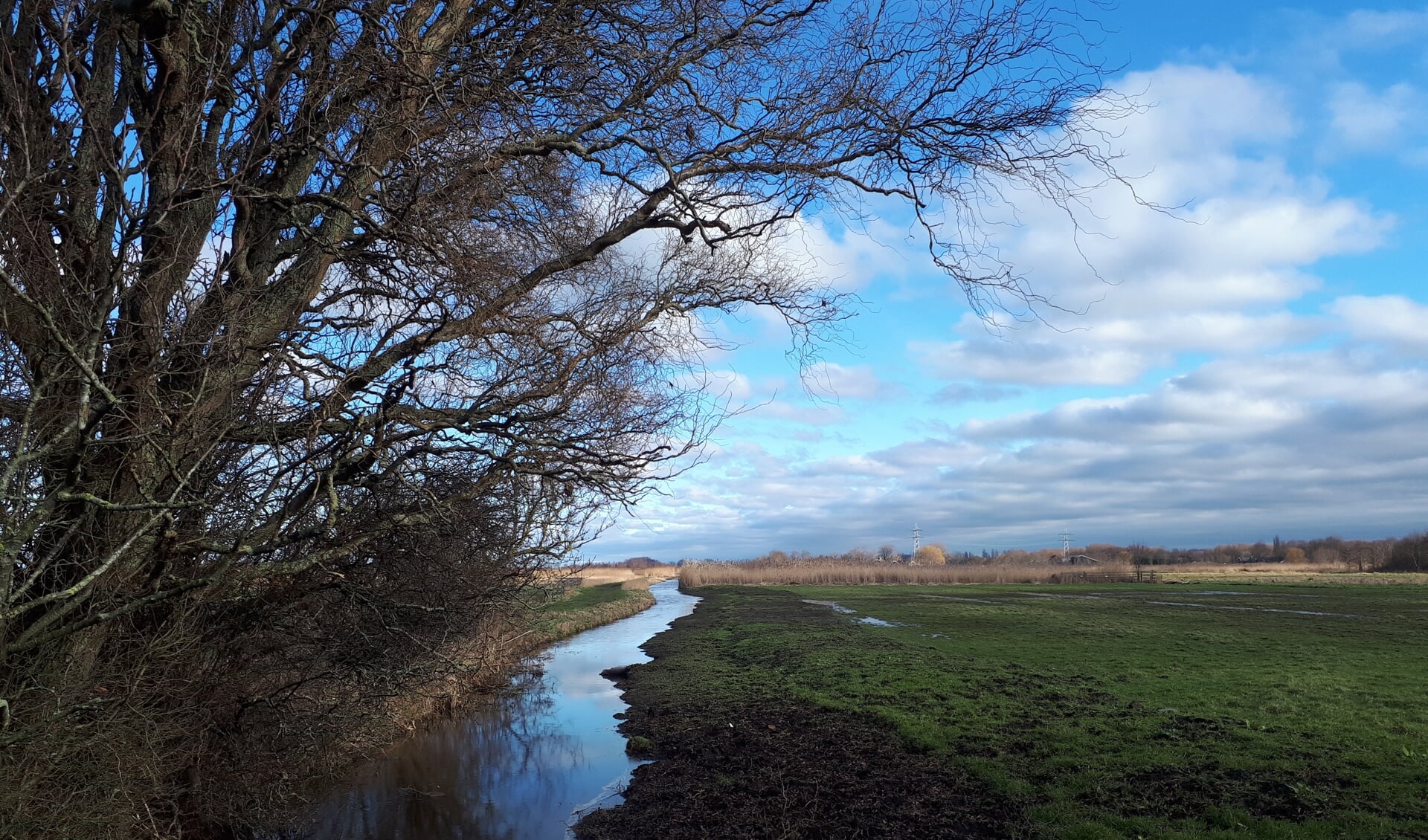 Mooi plaatje aan de Harreweg.