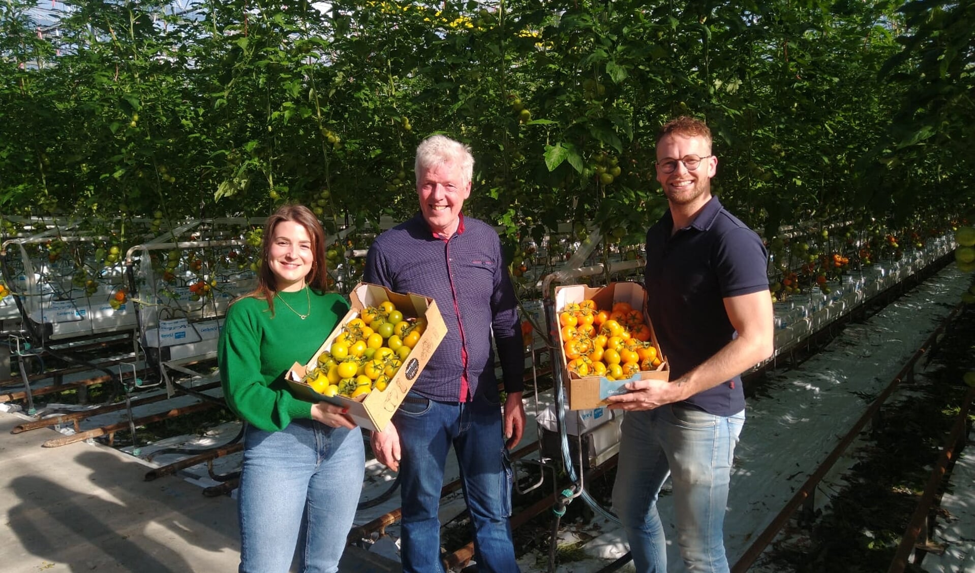 Giulia Vrijkorte (l.) van Freshclusive neemt de oranje en gele trostomaten in ontvangst van teler Kees Stijger (m.) en Kaj van Staalduinen (verkoper bij Harvest House).