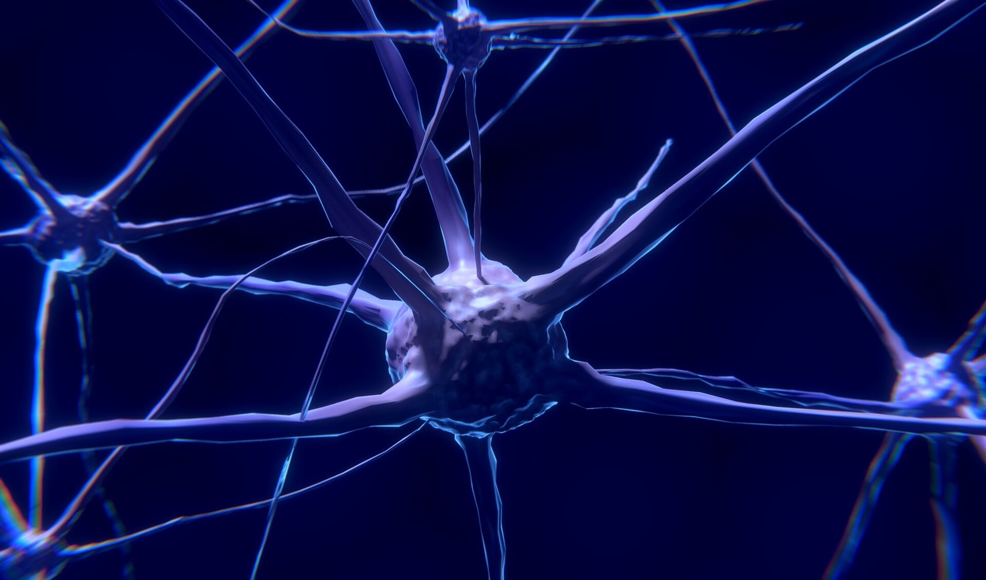 Je hersenen bevatten ongeveer 86 miljard zenuwcellen.  
