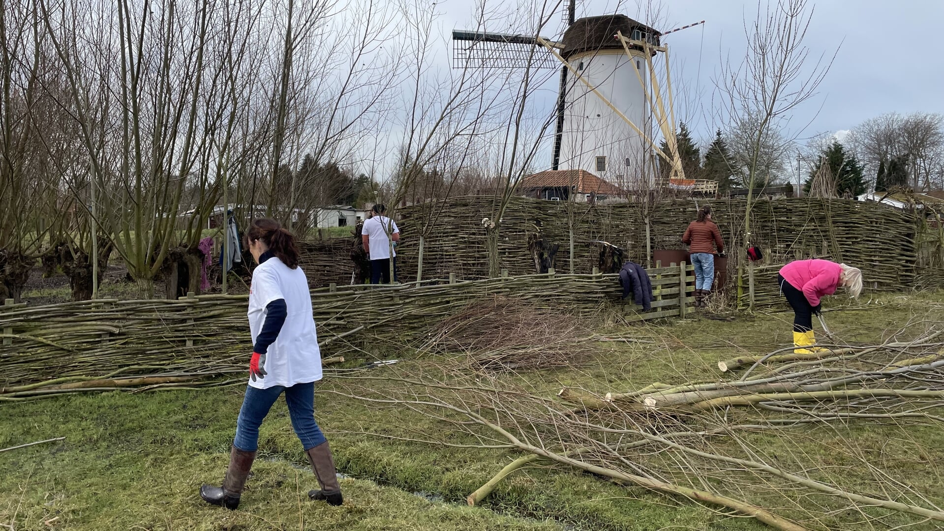 Veel extra handen bij Babbersmolen tijdens NLdoet.
