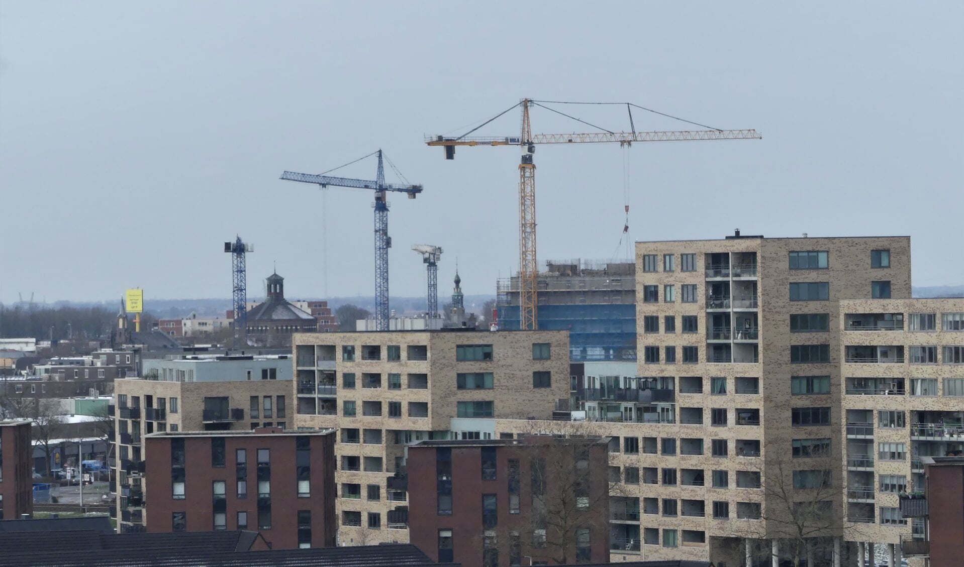 Bewoners Anne Franklaan Hebben Geen Zicht Meer Op Stadje | Al Het ...