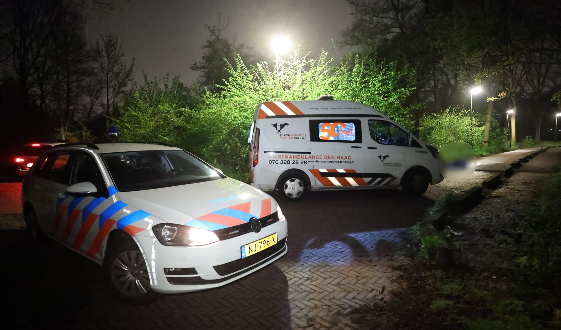 Dode Hond In Tas Gevonden In Bosjes Kruisvaarderspark Rijswijk | Al Het ...