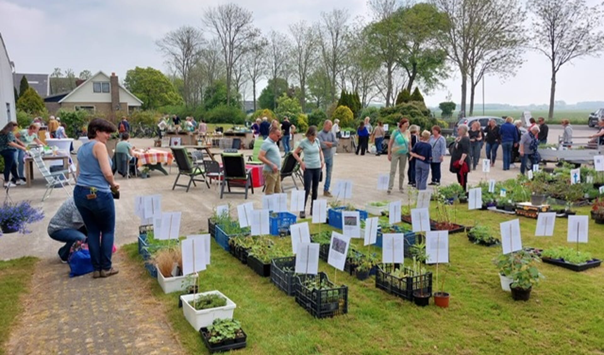 Beeld van een eerdere stekkenmarkt.